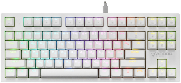 Игровая механическая клавиатура ARDOR GAMING Immortality TKL RGB (БУ)