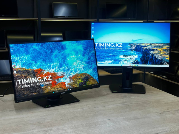 24.5" Монитор ASUS TUF Gaming VG259QM, 1920x1080, 280 Гц, IPS, 1ms
