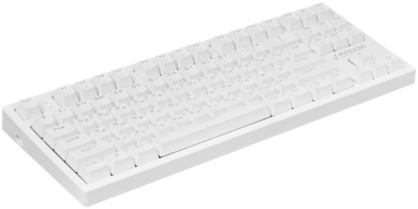 Игровая механическая клавиатура ARDOR GAMING Immortality TKL RGB (БУ)